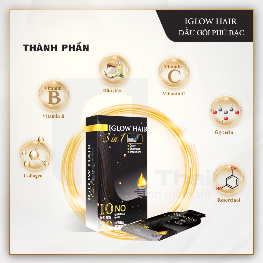 Dầu gội phủ bạc tóc Iglow Hair 3 in 1 Black Coverage Hàn Quốc - Gói 15ml, hộp 5 gói