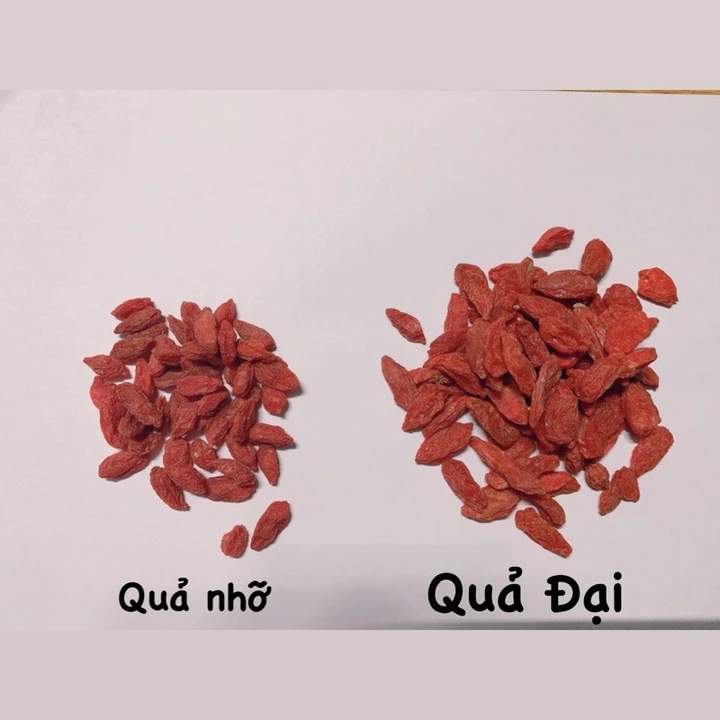 Kỷ tử Ninh Hạ 500g-1kg câu kỷ tử to đều, kỷ tử ngọt hạt kỷ tử hữu cơ Organic - Dược Liệu Quý – 4