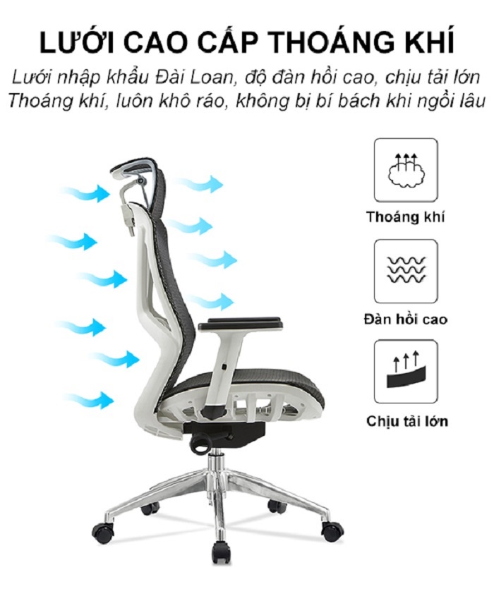 Lưới nhập khẩu Hàn Quốc ghế công thái học Spider