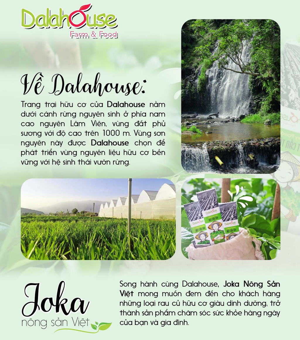 Mô tả Bột rau detox cần tây diếp cá cải xoăn lúa mì bó xôi củ dền rau má Dalahouse 7 vị  21 gói - 3