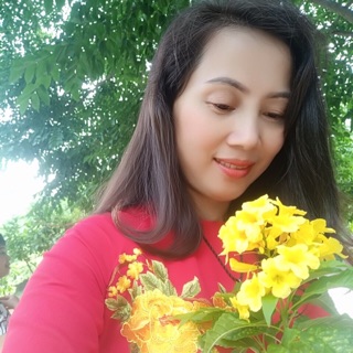 phuonglinhchi123456789