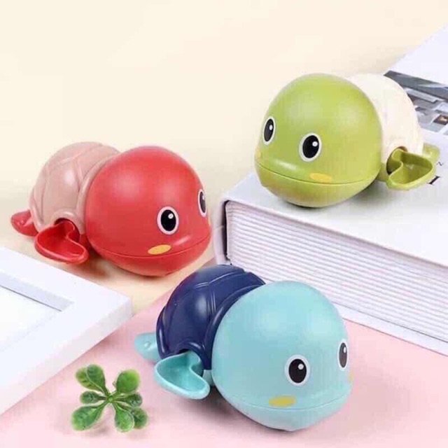 chú rùa con đang tập bơi trong chậu nước-Hàng nhập khẩu | Shopee Việt Nam