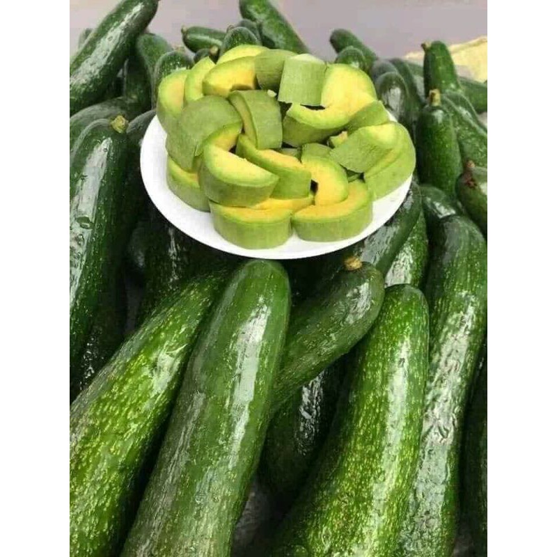 Bơ 034 Lâm Đồng già, ngon 30k/ kg | Shopee Việt Nam