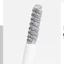 Mascara nhũ chải mi lấp lánh Peinifen Glitter Top phong cách Hàn Quốc Qiqishop