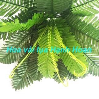 Cây vạn tuế ( dương xỉ) 12 nhánh - Cây giả