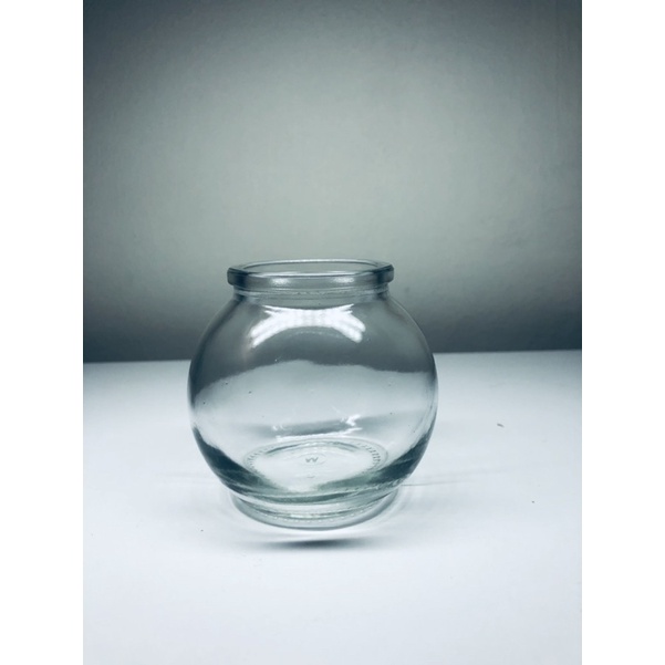 Lọ thuỷ tinh trồng cây mini, tiểu cảnh, terrarium, thuỷ sinh, bán cạn