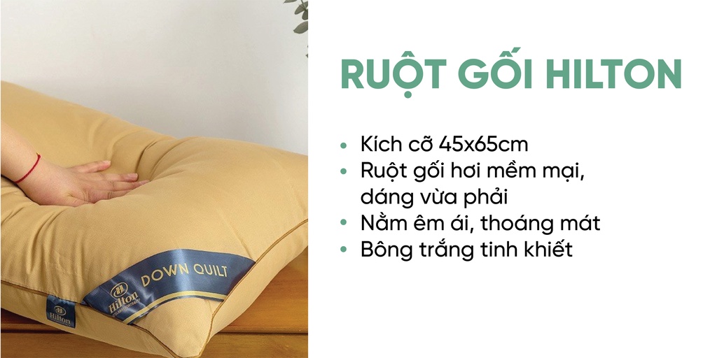 Mô tả Ruột gối Hilton Mịn Decor mềm mại kích cỡ 45x65cm - 1