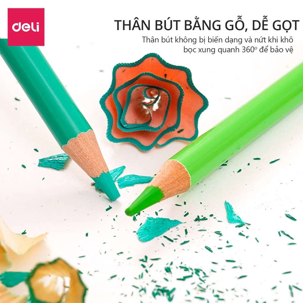 [TOP 1] Bút Chì Màu Gốc Dầu/Gốc Nước 72 Màu Cao Cấp Deli - Màu Đậm Tươi Sáng, Tô Vẽ Tranh Phác Thảo