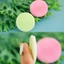 Miếng Rửa Mặt Vacosi Silicone Cleansing Pad DC04
