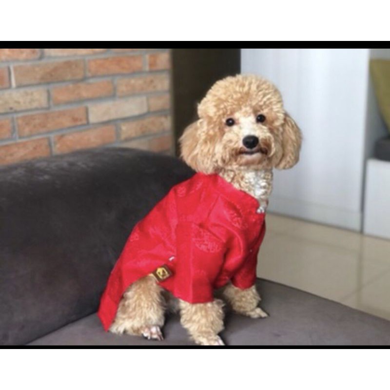 1-25kg áo dài Tết cho pets cưng, chó mèo vải gấm