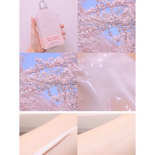 SỮA DƯỠNG THỂ HƯƠNG HOA ANH ĐÀO 260ml