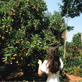 _n.thuyquynh03_
