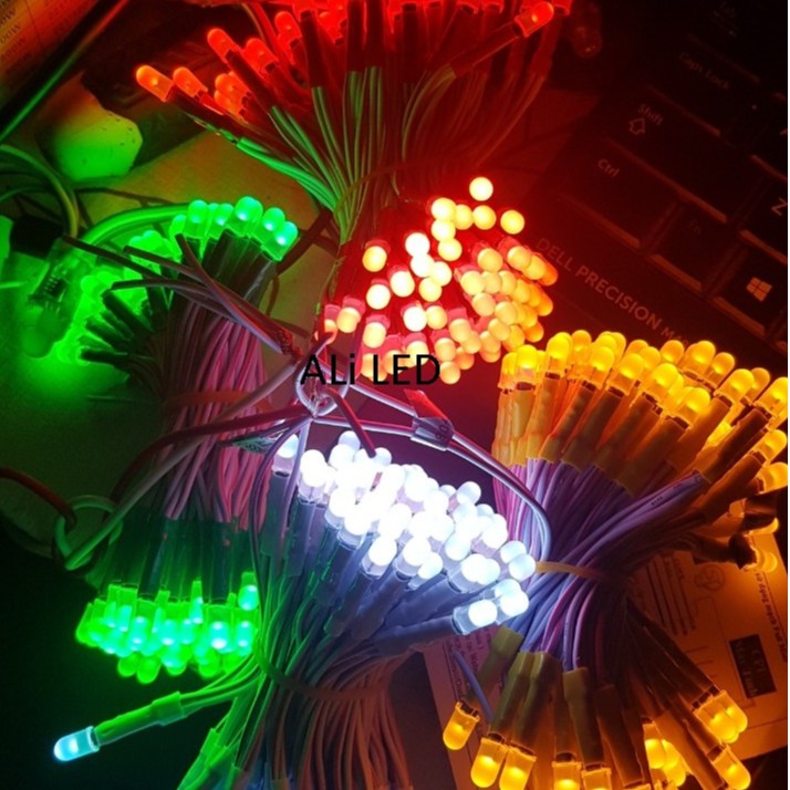 LED Liền Dây 5mm Điện 5V 1 dây 100 Bóng - Led Ruồi 5 Ly Biển Vẫy Quảng ...