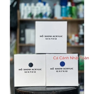 HỒ SHOW CÁ BETTA GUPPY ACRYLIC SIÊU TRONG