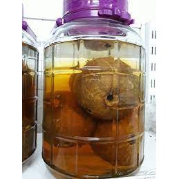 Rượu Quách Trà Vinh- Chai 500L (Cốt Rượu) | Shopee Việt Nam