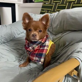 linday111