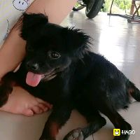 namthuy312