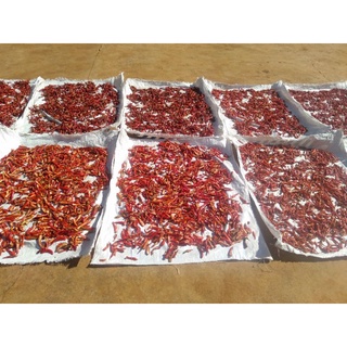 500gr Ớt khô Huế siêu cay,  nói không với nhuộm màu nhà PT
