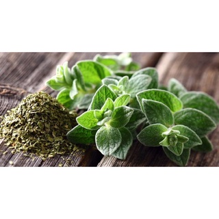 Lá Oregano (Kinh Giới Tây) Sấy Khô- Dùng Làm Bánh Pizza 50gr/100gr
