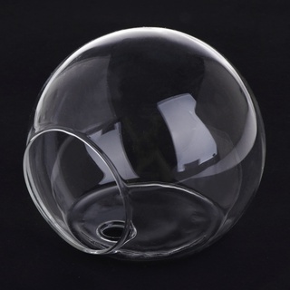 Bình Thủy Tinh HL Treo Tường Thủy Canh Terrarium Bể Cá Chậu Hoa