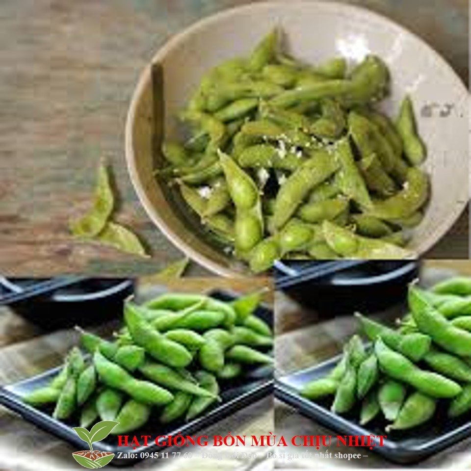 Gói 10 Hạt Giống Đậu Nành Edamame Ngọt Đậu To - BeSweet (Glycine max ...