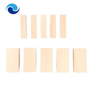 6Pcs Basswood Carving Blocks for Wood Beginners Carving Hobby Kit