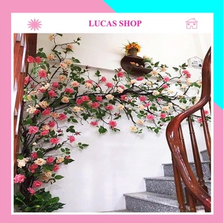 Dây Giả- Dây Hồng Leo Cổ 1m7 Cao Cấp, Decor Nhà Cửa, Khách Sạn, Studio