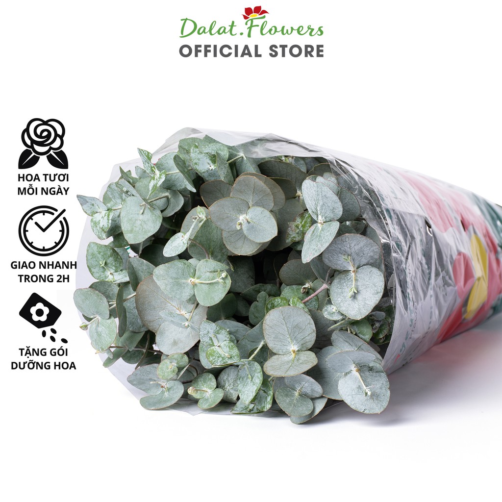 Lá Bạc Cắm Hoa (500g) - Dalat.Flowers | Shopee Việt Nam