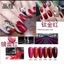 set gel kính đỏ bộ 7 chai ( kèm 1 chai đế bạc)