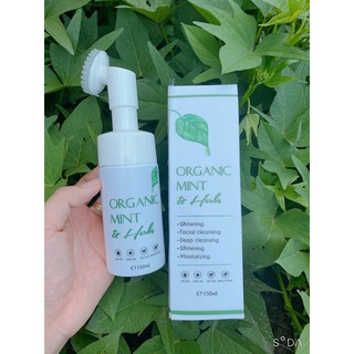 Sữa rửa mặt bạc hà tạo bọt