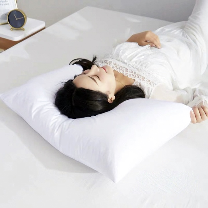Ảnh Ruột Gối Bông Hạt Cao Cấp Có Bán Vỏ Gối 1