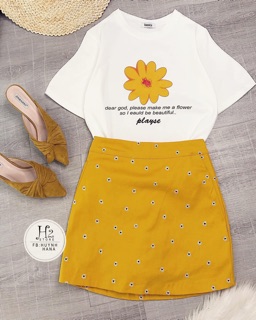 Set hoa cúc