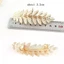 Lược chải tóc BORAGETE Quà tặng Mũ nón Bobby Pin Kẹp tóc bạc