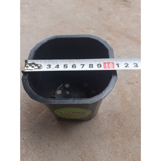 10 Cái Chậu Nhựa Vuông Đen 11x10 cm,  Nhiều Lỗ Thoát Nước, Ươm Dâu, Sen Đá Ươm Cây Thoải Mái