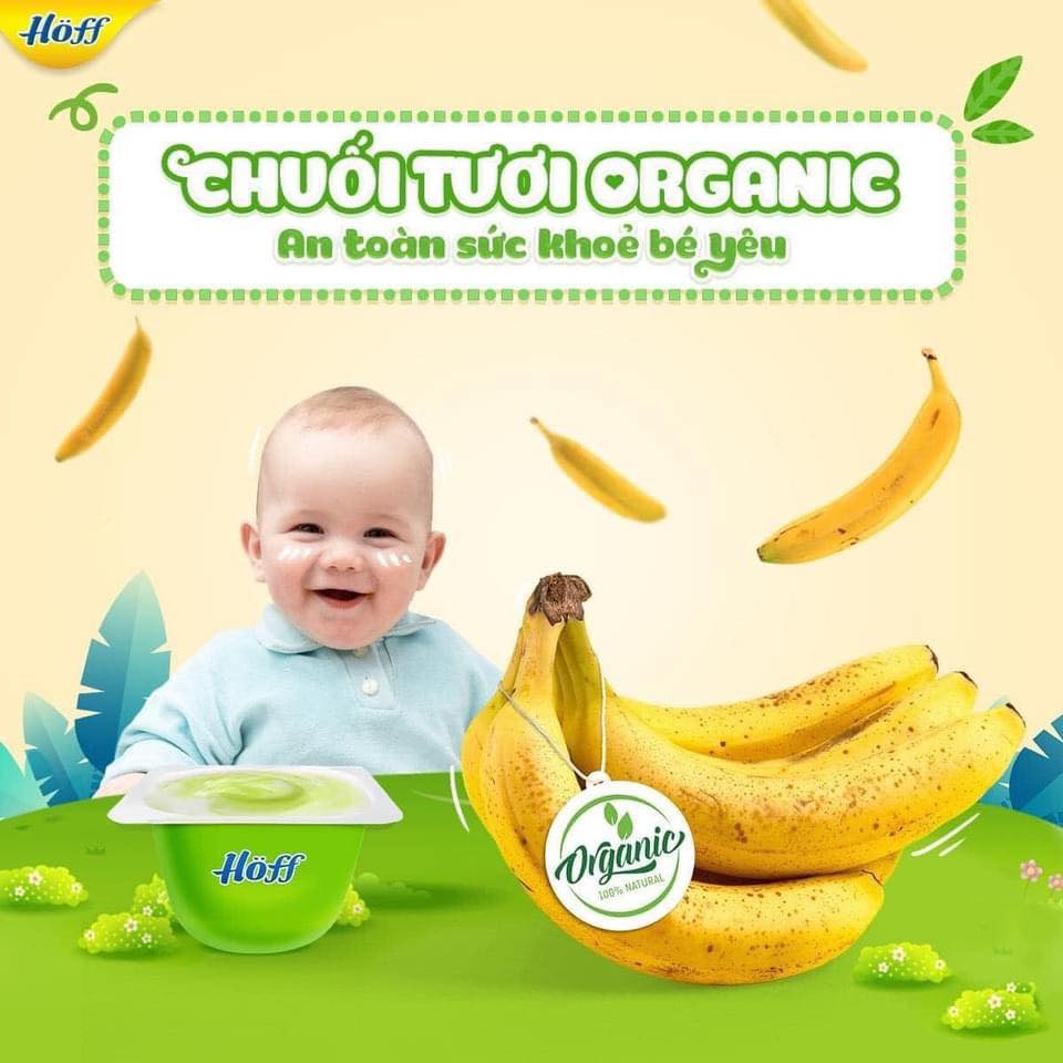 Sữa chua trái cây Hoff chuối organic cho bé từ 6 tháng tuổi - 1 LỐC (6 hộp x 55g) - hanzo2009
