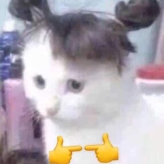 meoooooooo