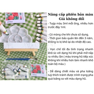 Tranh tô màu theo số Hoa Mini Mới Size 20x20cm căng khung sẵn