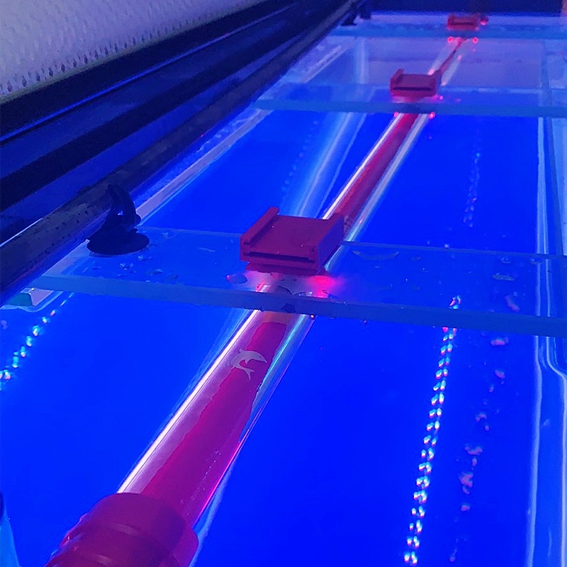 KẸP ĐÈN TANNING-Một hộp 2 cái