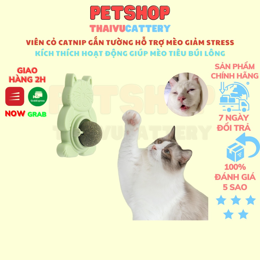 Viên cỏ CATNIP gắn tường hỗ trợ mèo giảm stress kích thích hoạt động giúp mèo tiêu búi lông- Thaivucattery