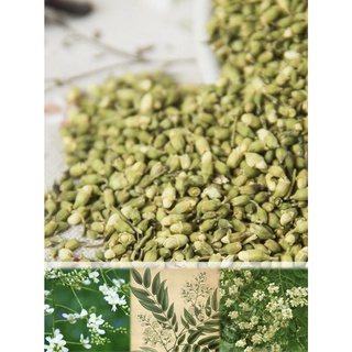 Trà Nụ hoa hòe sao vàng Lila (đã loại bỏ tạp cơ học, cành và hoa đã nở)