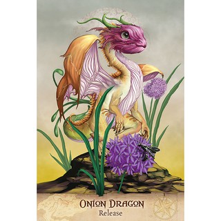 Bộ Bài Field Guide To Garden Dragons (Mystic House Tarot Shop) - Bài Gốc Authentic Chính Hãng 100%