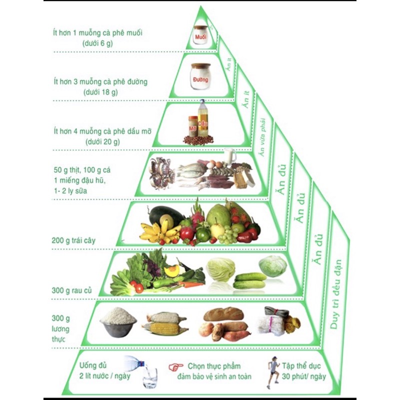 Ai là người sáng tạo ra tranh tháp dinh dưỡng?
