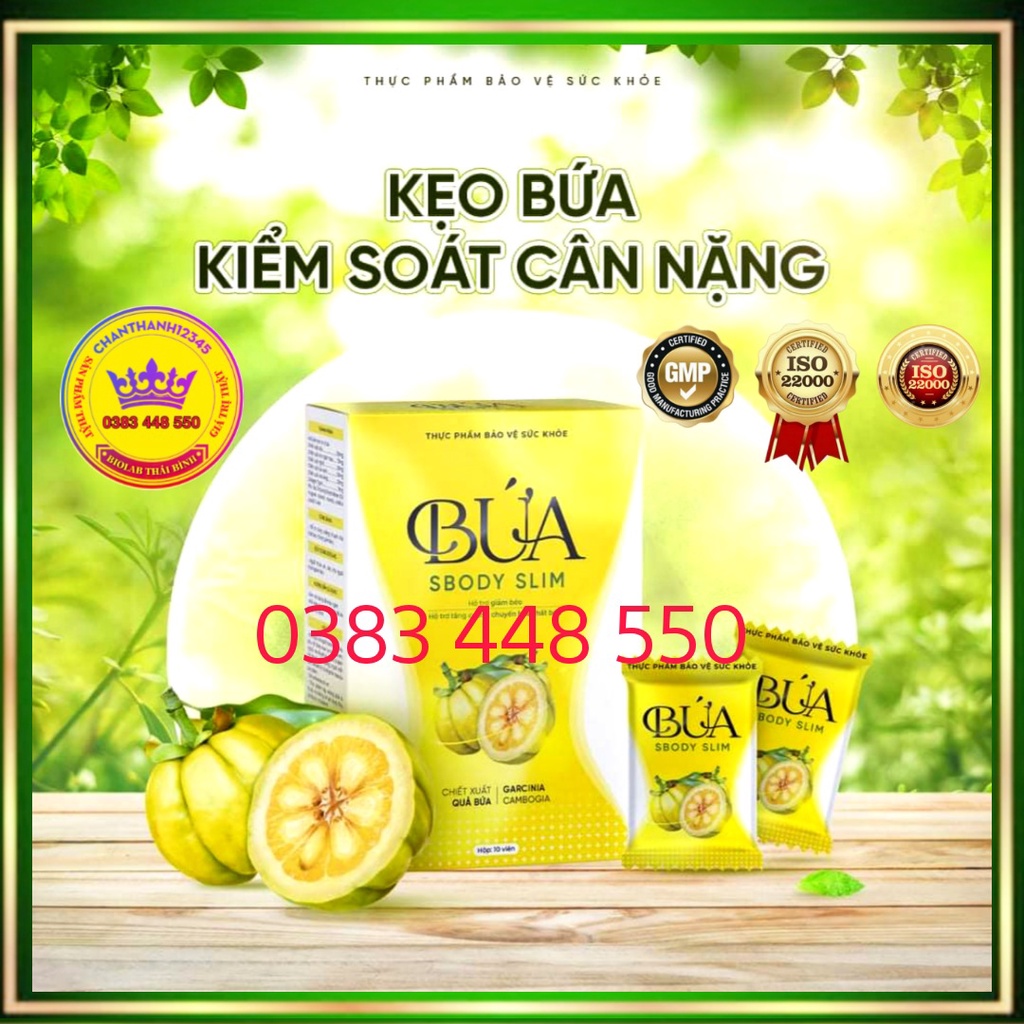 Hướng Dẫn Sử Dụng Quả Bứa