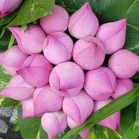 11nguyen02hoang