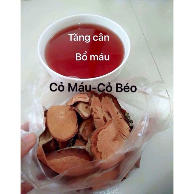 [gg3] Cỏ máu tăng cân - bổ máu 1kg | Shopee Việt Nam