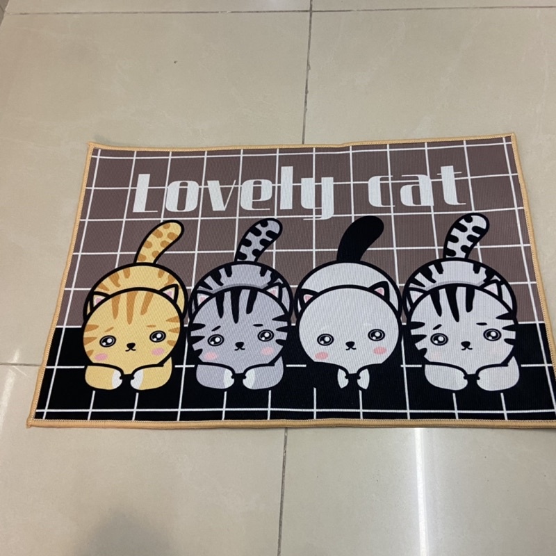 Thảm dặm chân nhiều hình ảnh - thảm chân 40x60cm