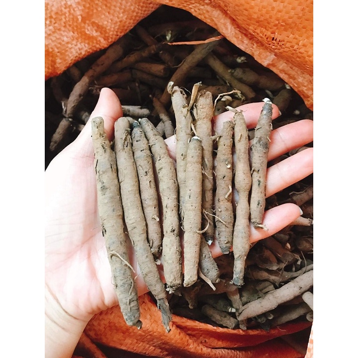 [Mã BMTTC60K giảm đến 60K đơn 50K] Sâm cau đen khô (Tiên mao) thượng hạng JINDO 1kg tốt cho sinh lực nam giới