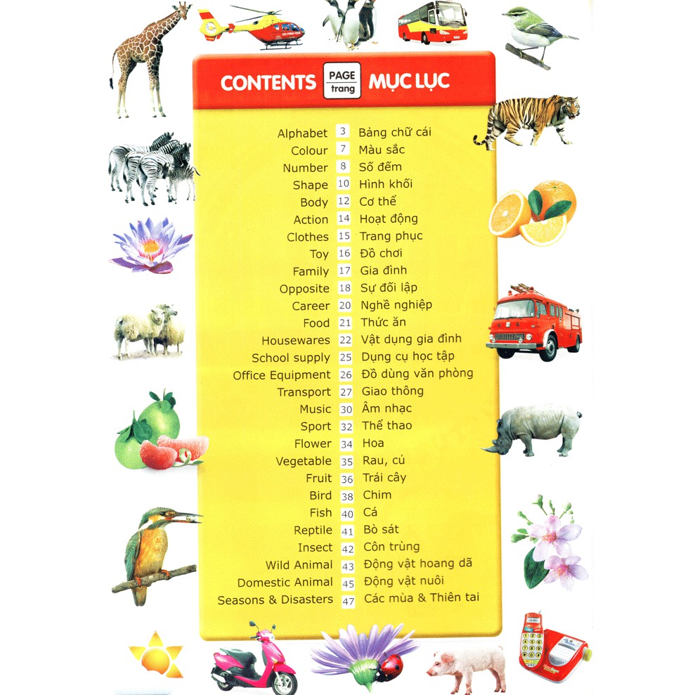 Ảnh Sách: Từ Điển Anh - Việt Bằng Hình 2