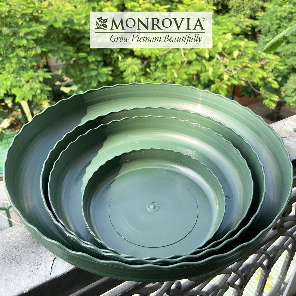 Ảnh Đĩa lót chậu nhựa trồng cây Monrovia chậu trồng cây, chậu cây cảnh mini, để bàn, treo ban công, treo tường, chính hãng 1