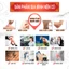 Tinh dầu xoa bóp dịu ấm Đài Loan thảo dược cổ truyền thống Chin Pai Dragon Nhất Điều Căn GMP thanh lăn 40ml